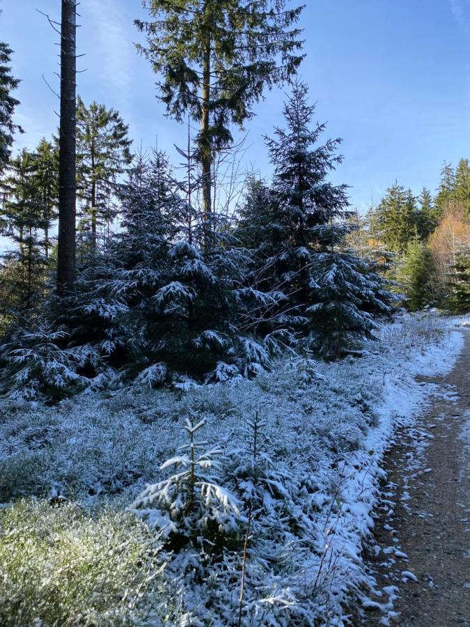Waldsee Mit Pool Und Sauna Inklusive Sankt Englmar